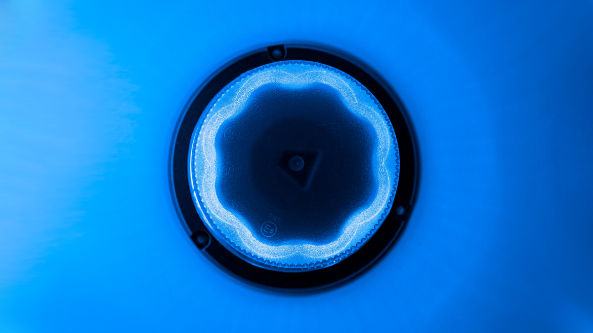B16 Cruise Beacon - BB (3-Bolt Mount)